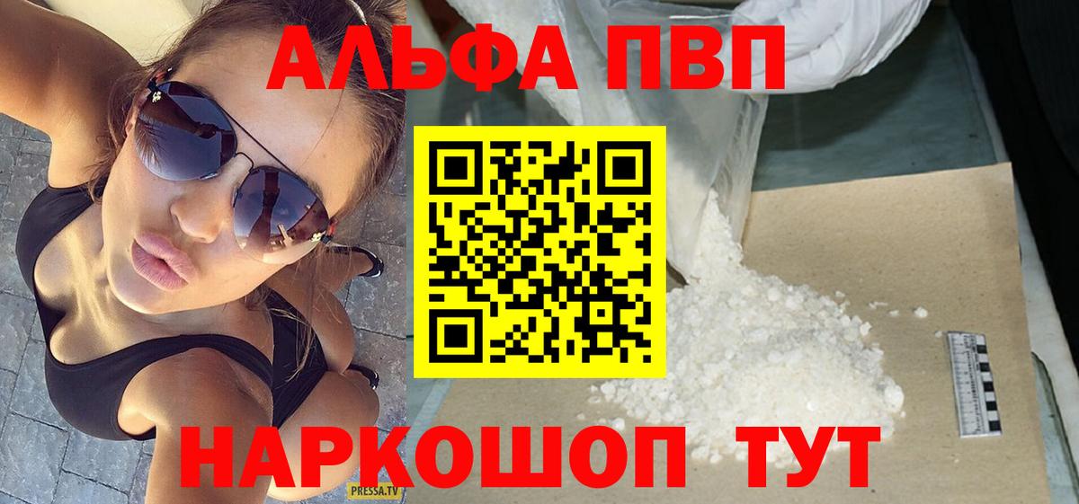 Альфа ПВП СК КРИС Урус-Мартан