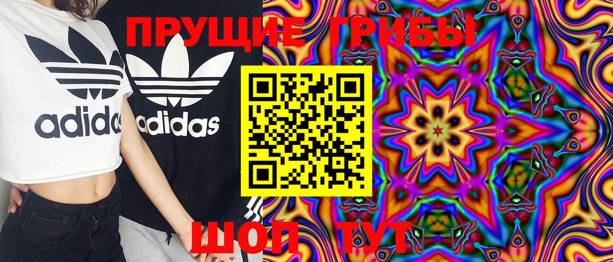 Урус-Мартан  закладки  Вход с VPN  Псилоцибиновые грибы Psilocybe 